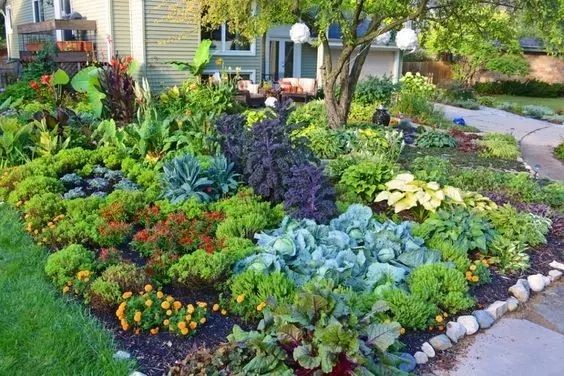 planting
